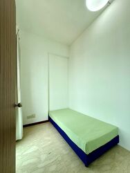 Evergreen Park (D19), Apartment #614143841